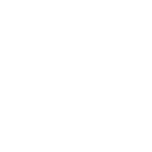 Novo Nordisk