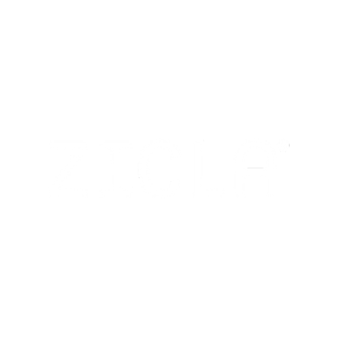 Zicla