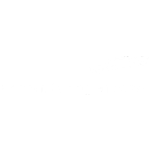 German Cycling Embassy
